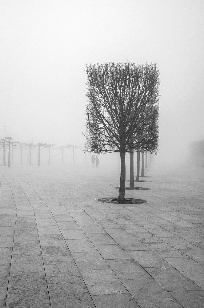 Photograph by Андрей Евтеев