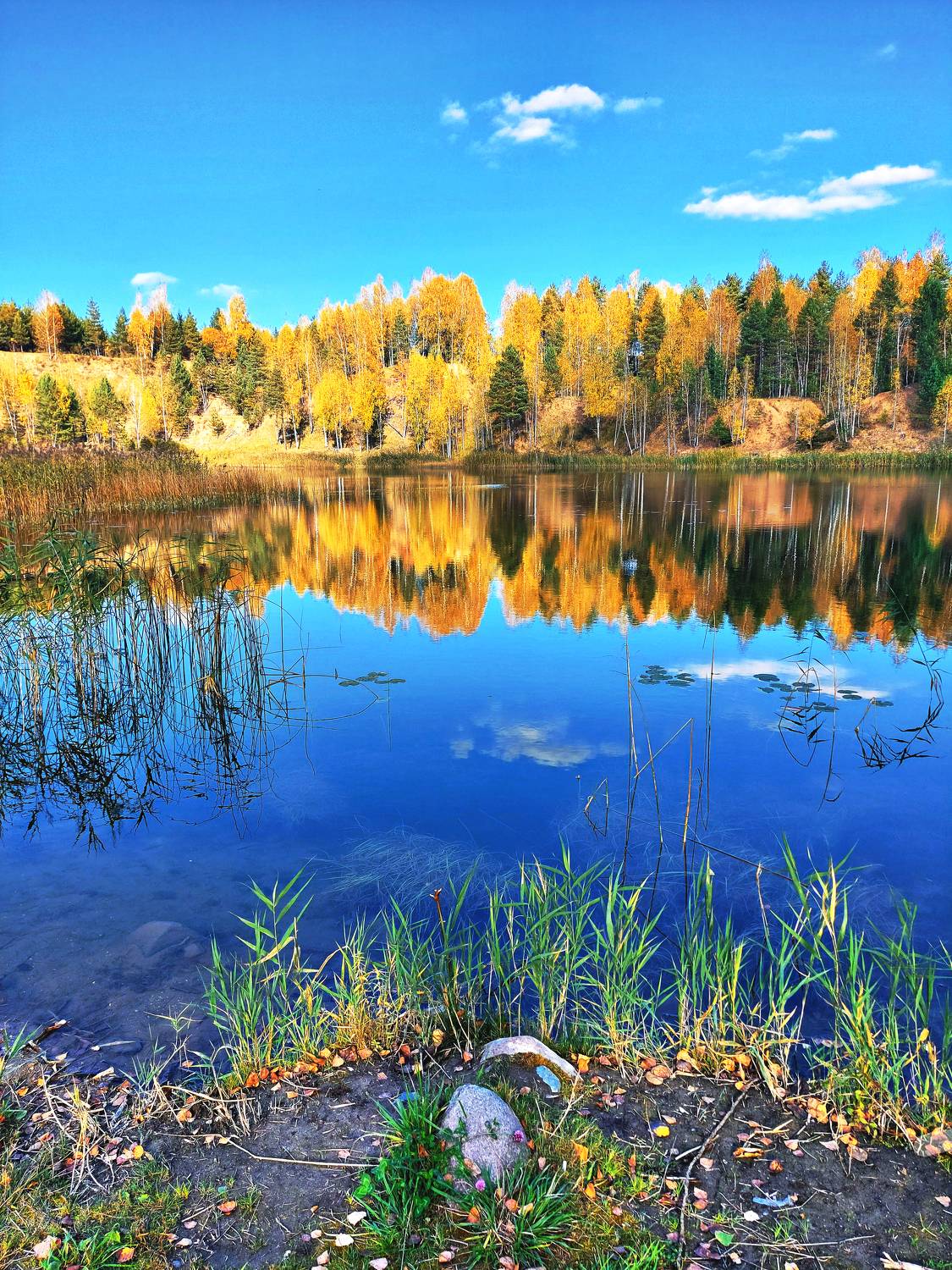 Photo #9630557