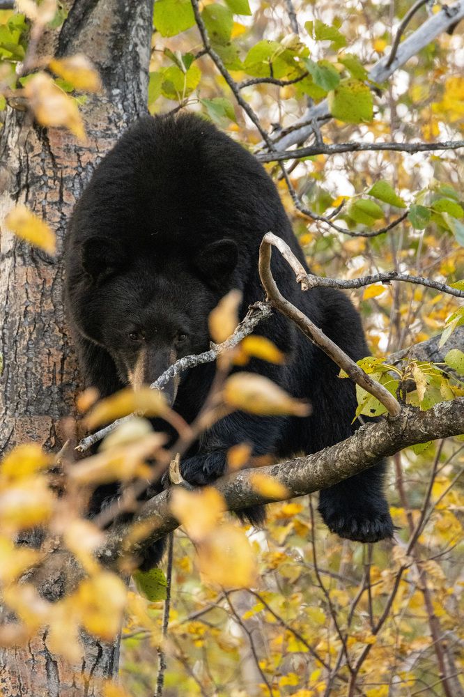 Photograph by Jared Solberg