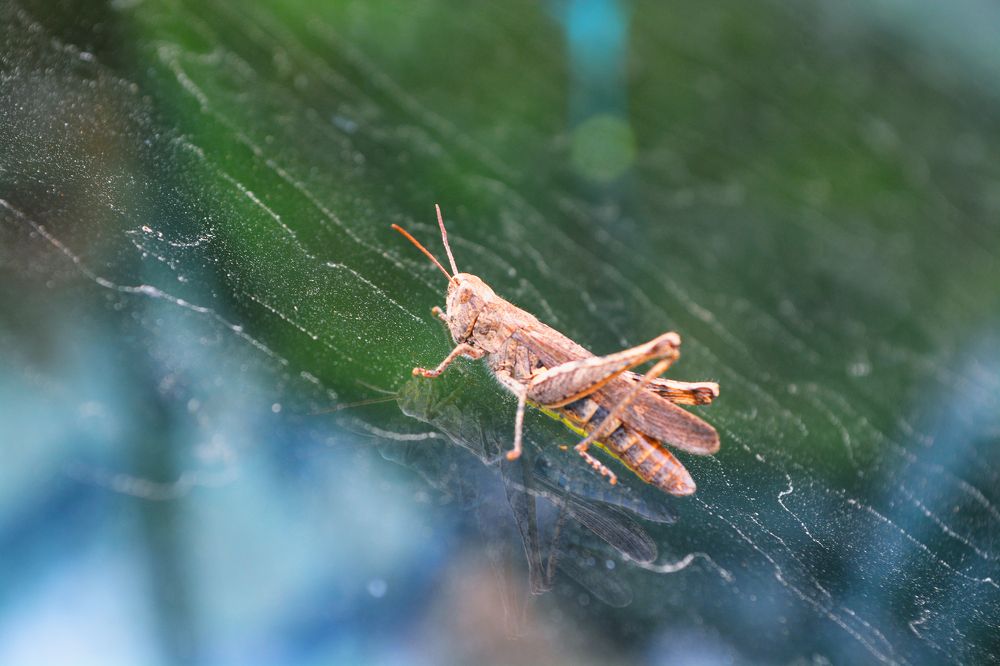 Photograph by Ксения Лебедева