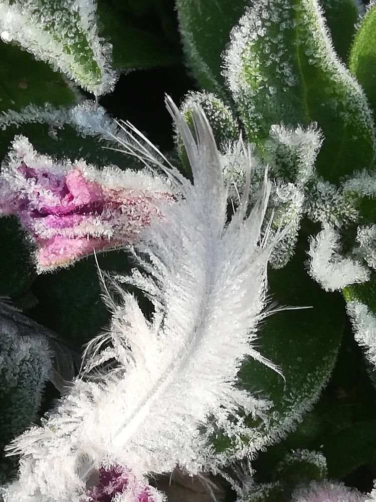 Photograph by Evgeniya Burkaeva