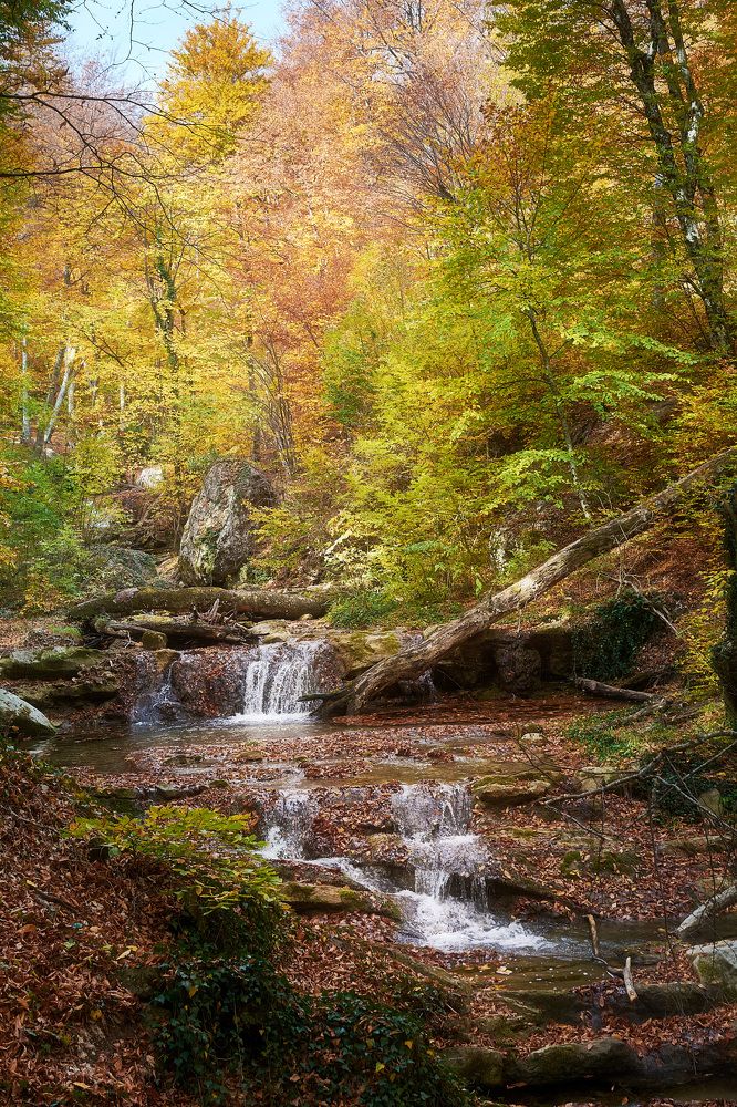 Photograph by Андрей Прищепин