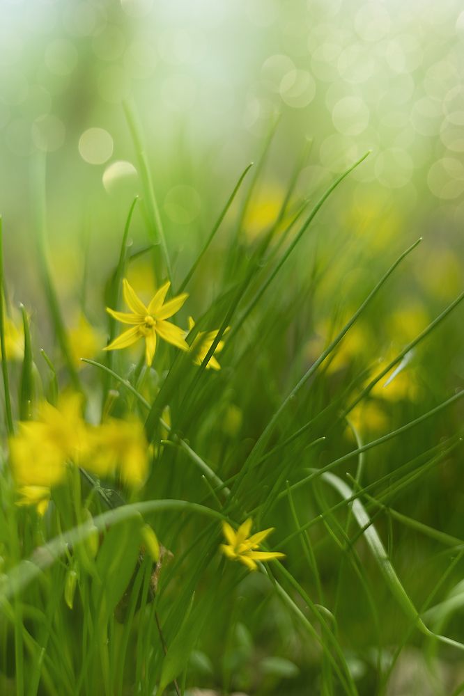 Photograph by Елена Басова