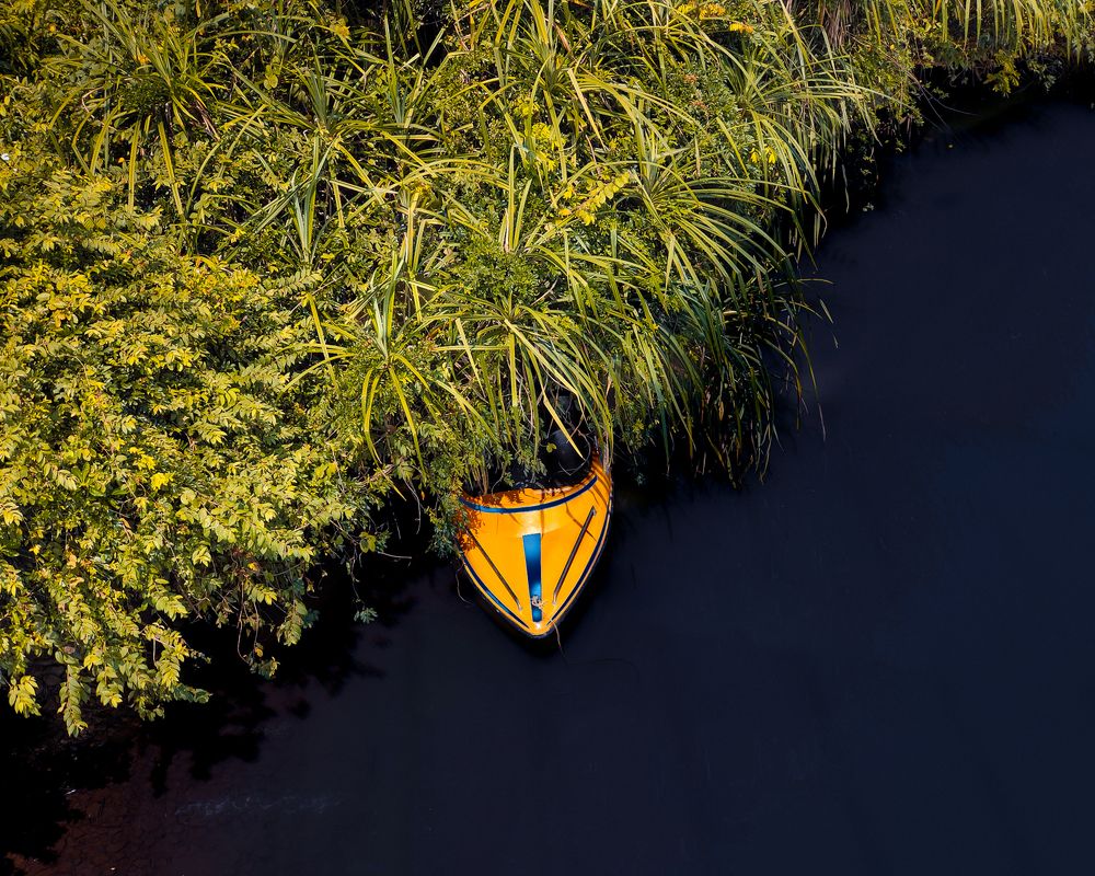 Photograph by Kundan Baruah