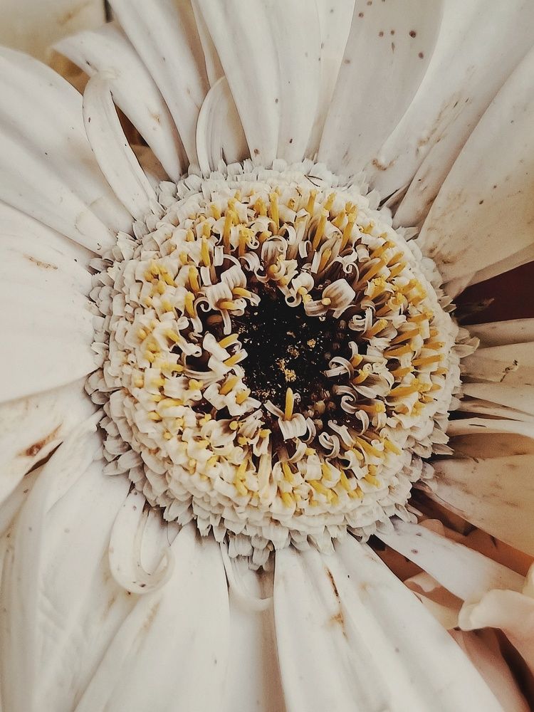 Photograph by Anastasiya Danilova