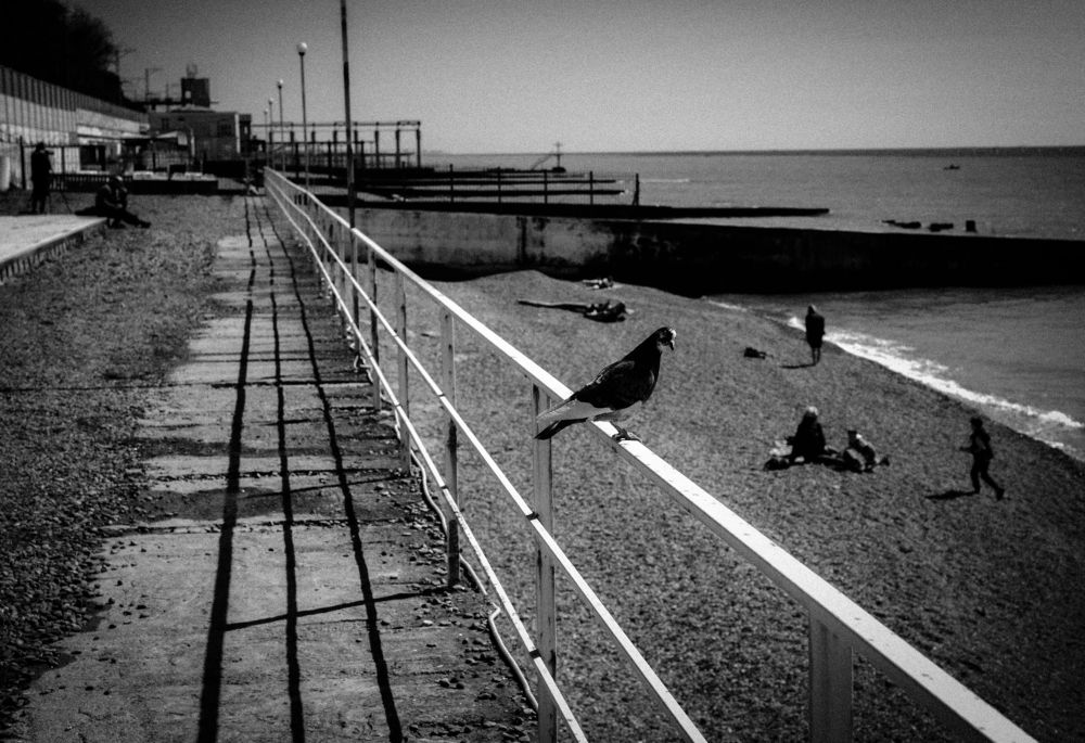 Photograph by Сергей Конопленко