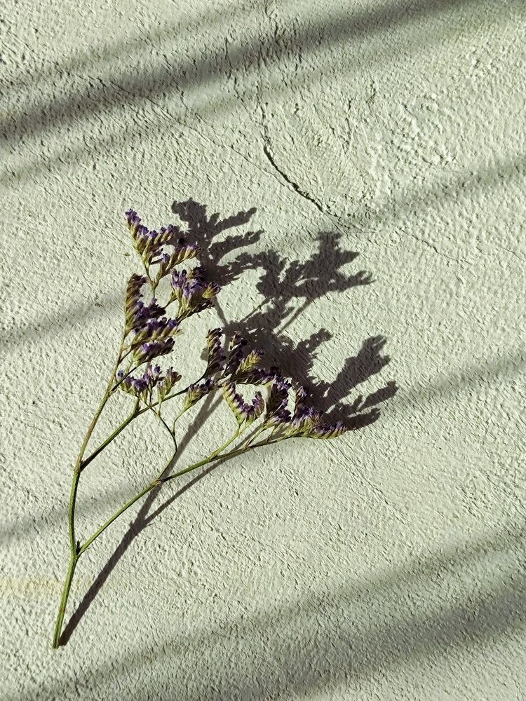 Photograph by Олеся Хижко