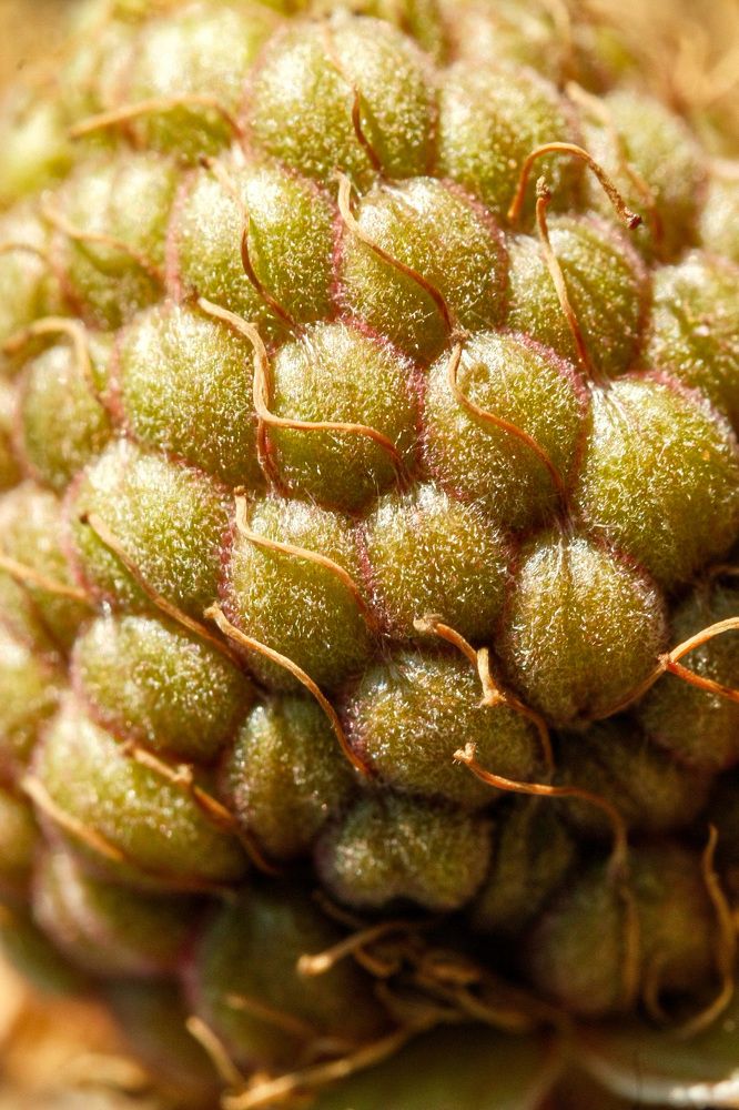 Photograph by Алексей Большаков