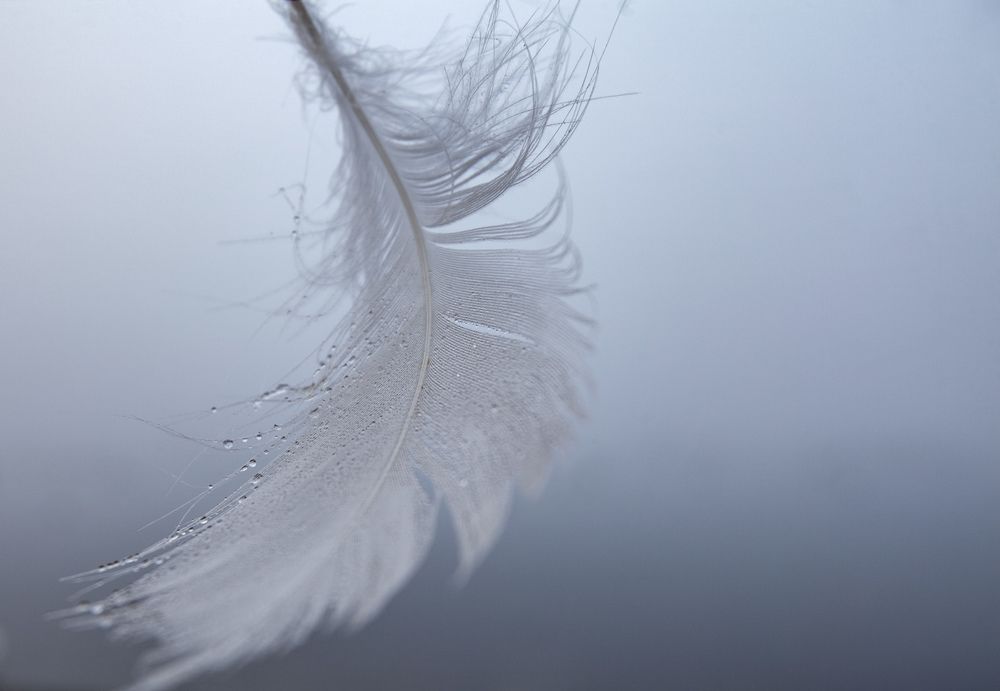 Photograph by Ineta Osipoviča