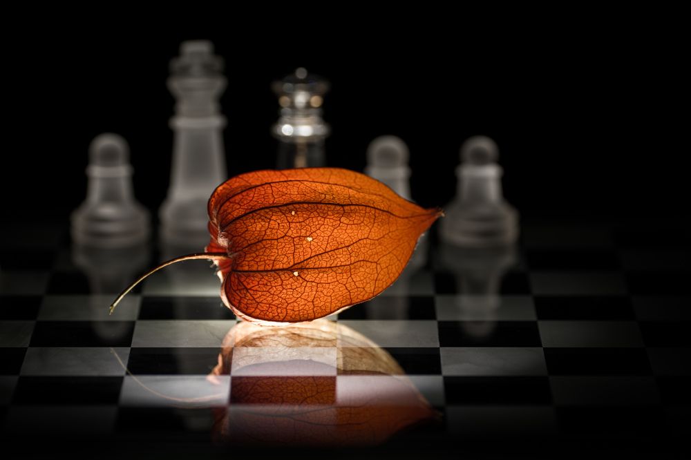 Photograph by Nikolay Gordon