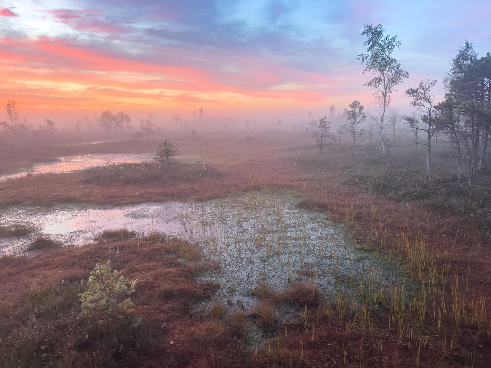 Photograph by Nikolay Gordon