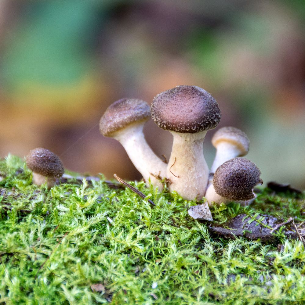 Photograph by Валерий Петухов