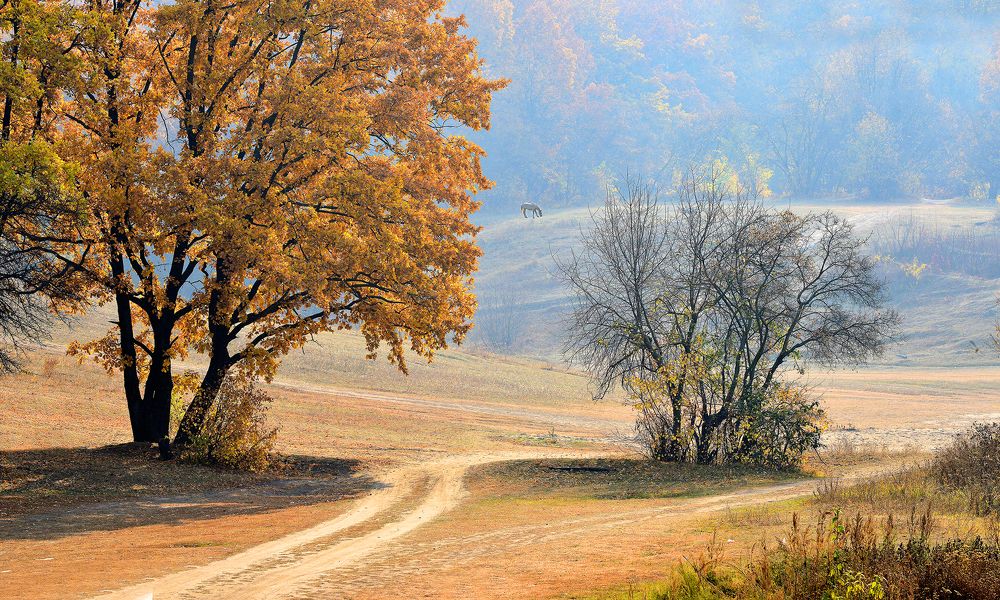 ОКТЯБРЬСКИЙ ПЕЙЗАЖ