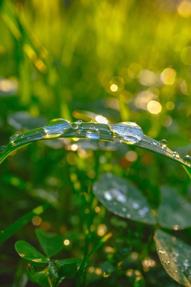 После дождя