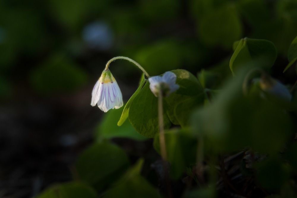 Photograph by Kristina Nutautiene