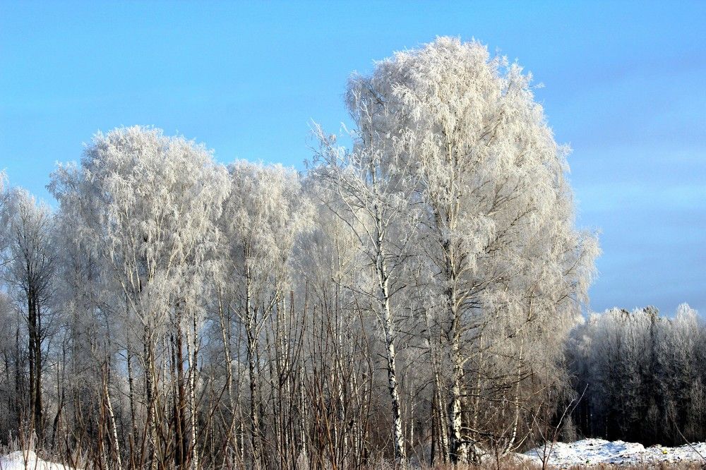 Photograph by Галина Мазур