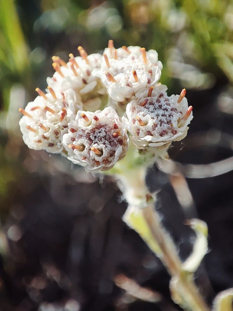 Photograph by Алина Эбель