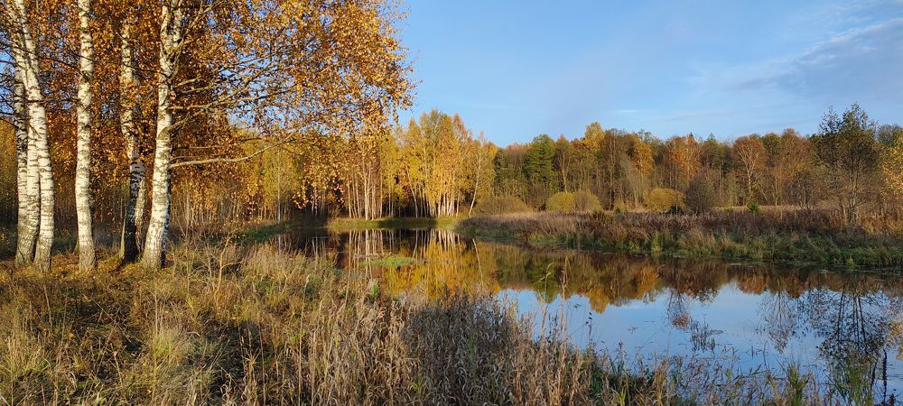 Photograph by mihail