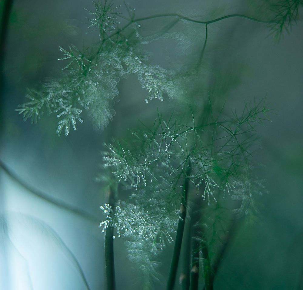 Photograph by Наталия Комаровская