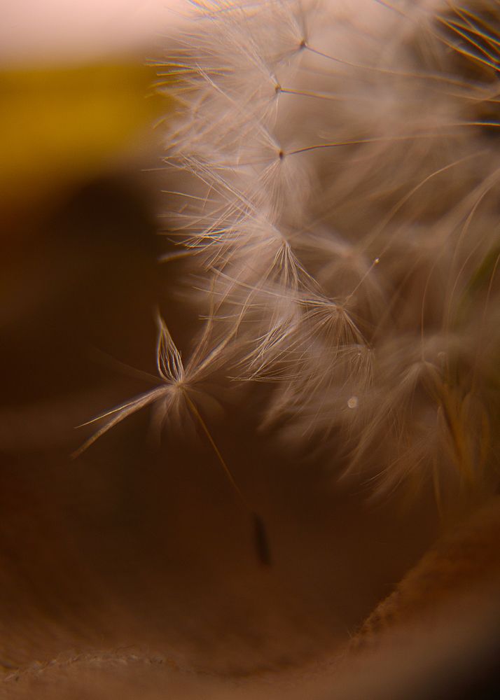 Photograph by Наталия Комаровская