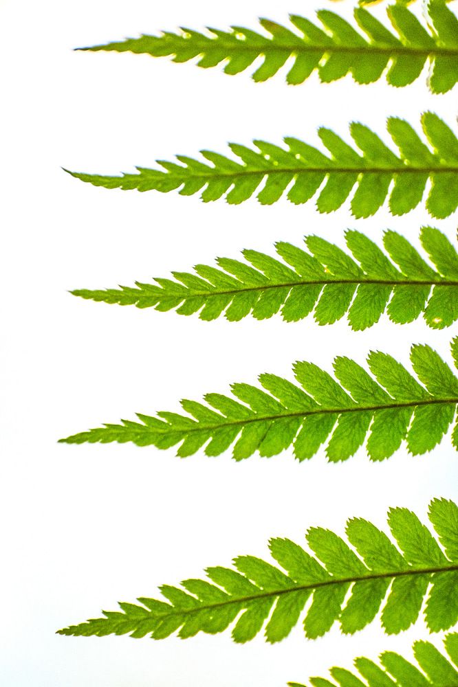 Photograph by Алексей Большаков