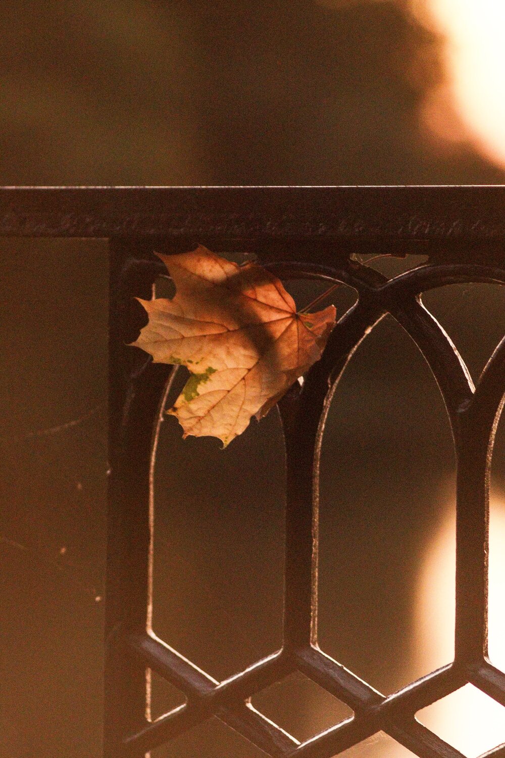 Photo #9630939