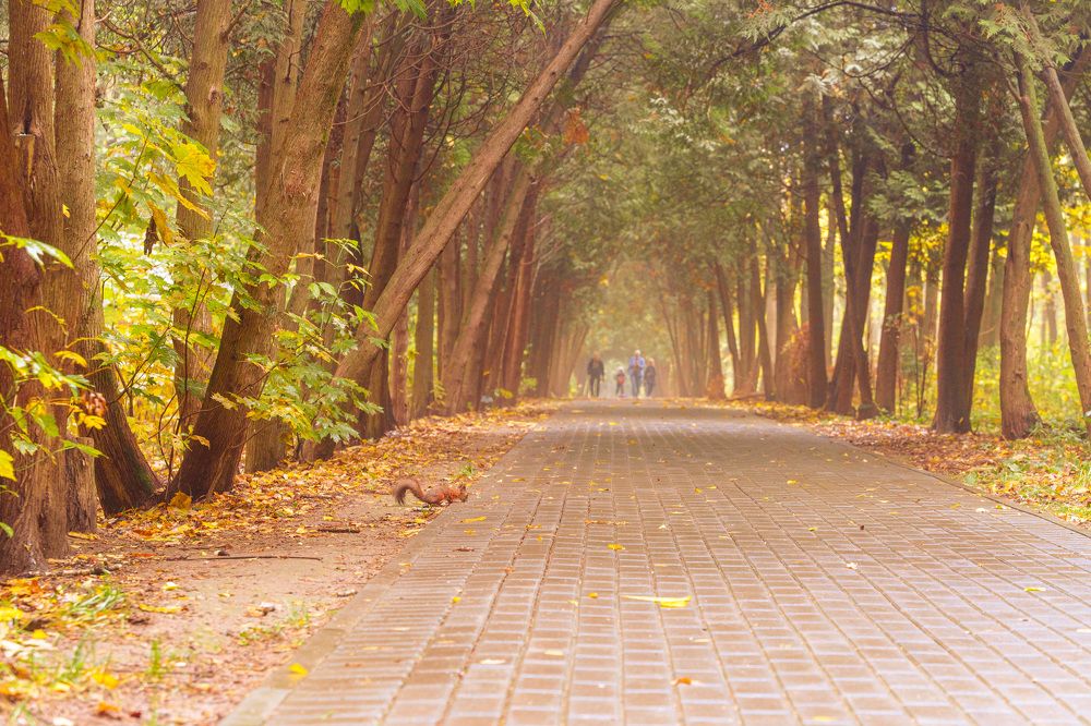 Photograph by Ивлев Артем