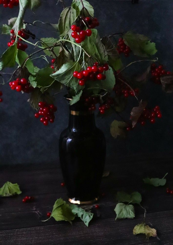 Photograph by Ирина Садовникова