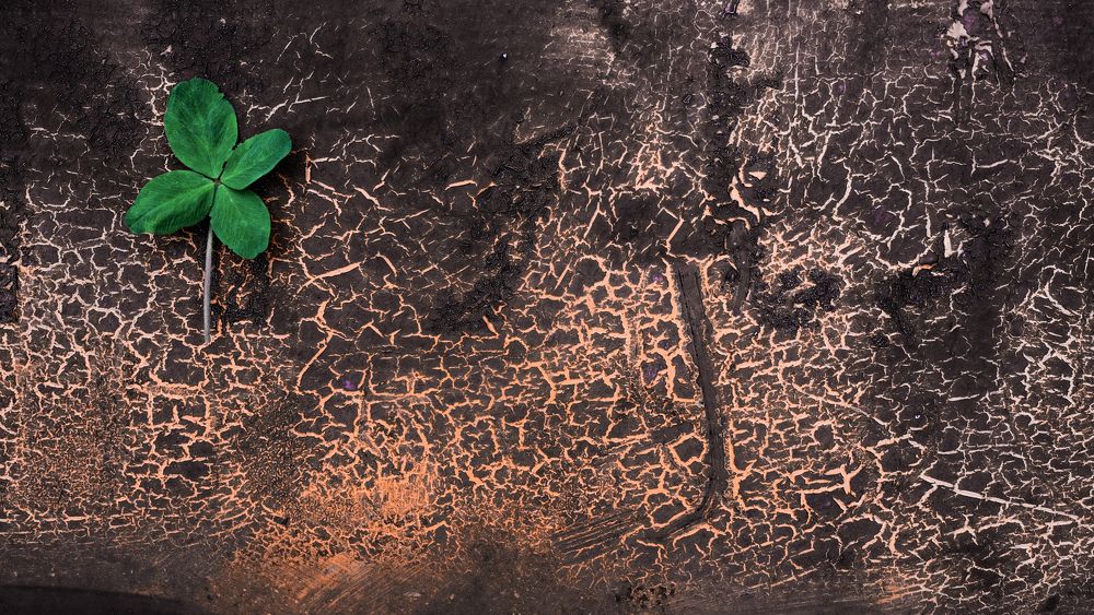 Photograph by Kostantin Belonogov