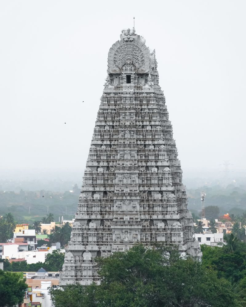 Photograph by Vinoth