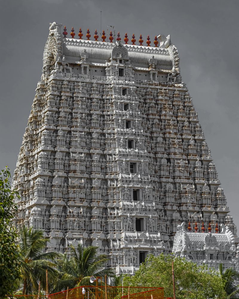 Photograph by Vinoth