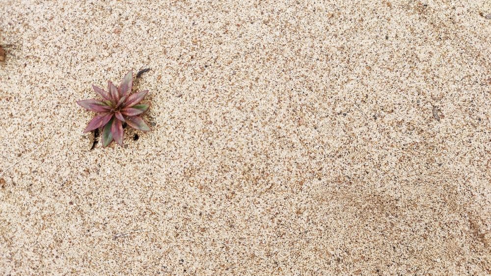 Photograph by Наталья Калюнова