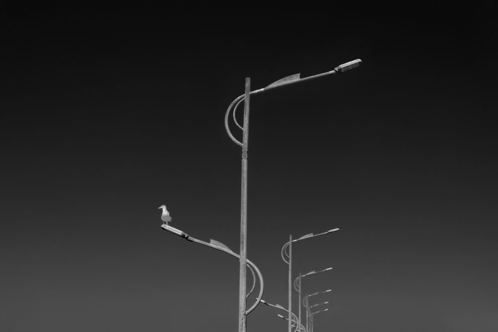 Фотография автора Benaissa Ilyes