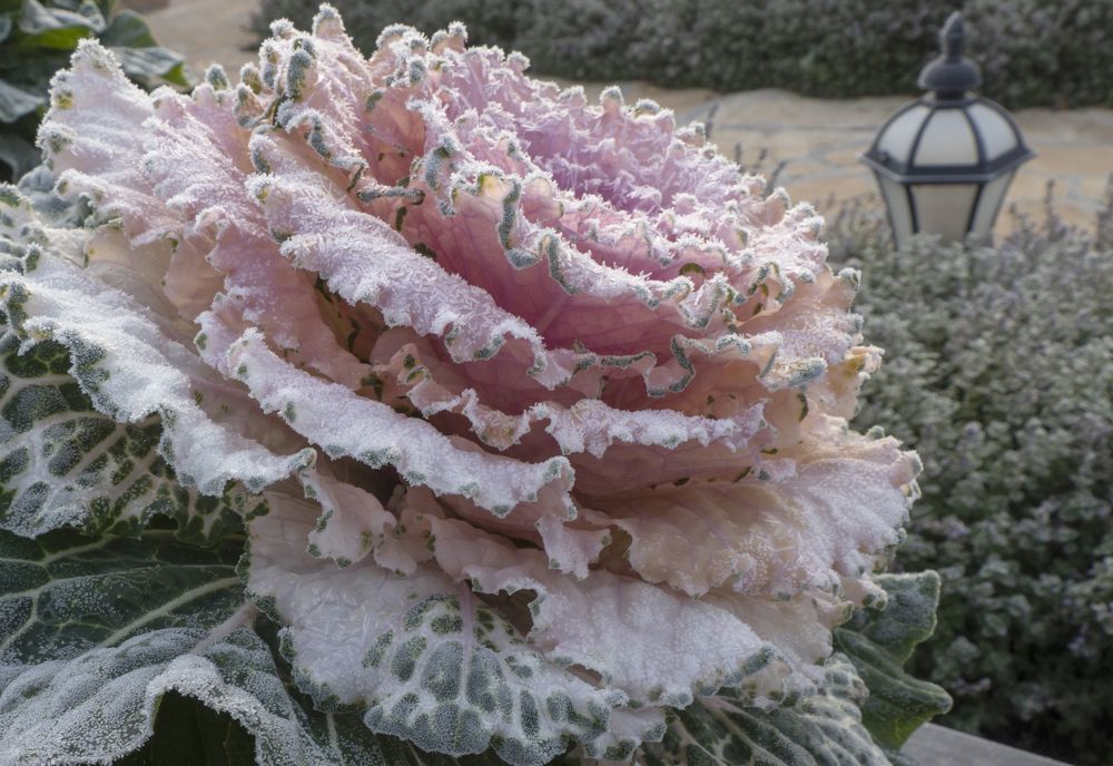 Photograph by Галина Михоношина