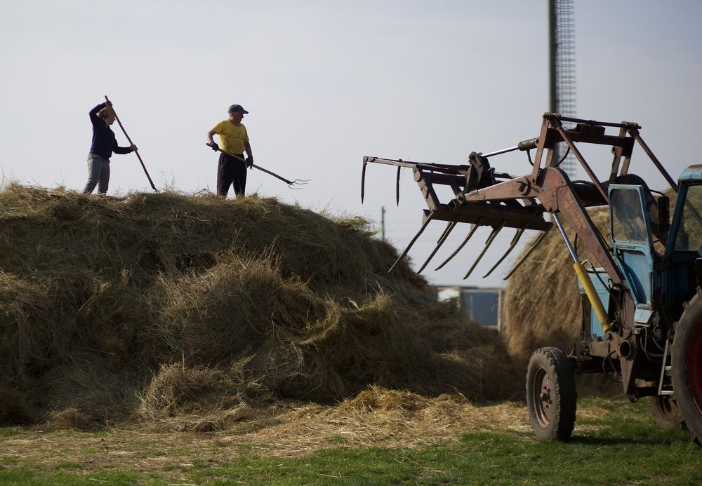 Photograph by Kseniya Yasyuchenya