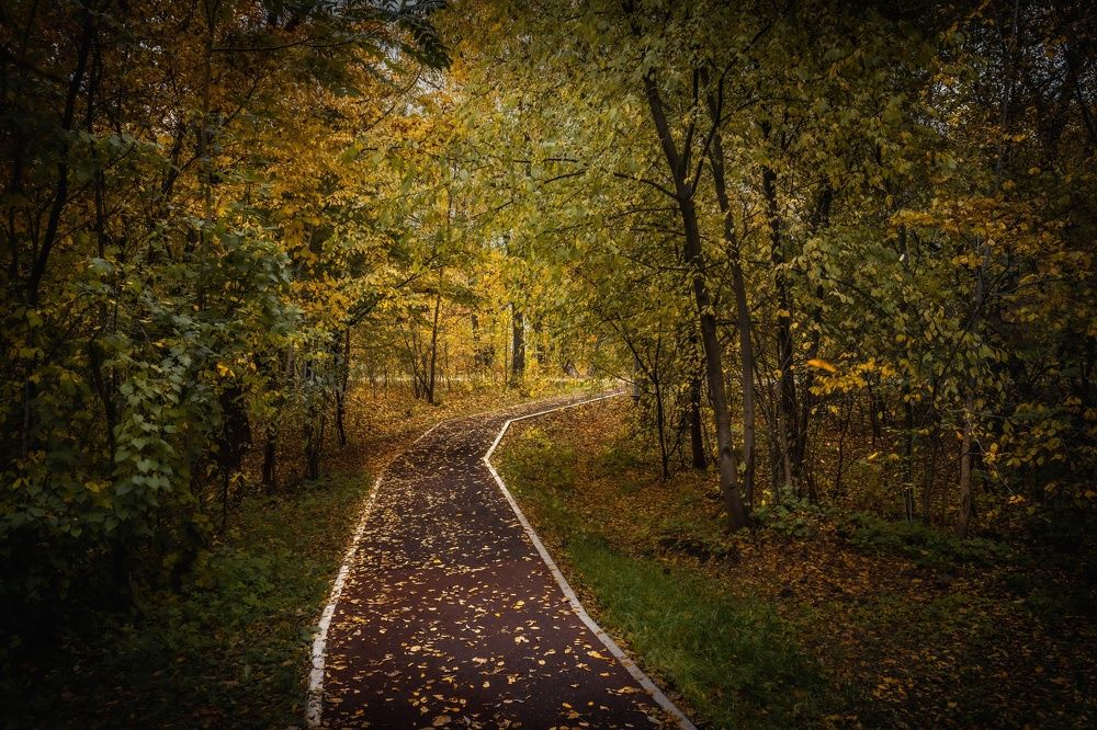 Photograph by Игорь Иванов