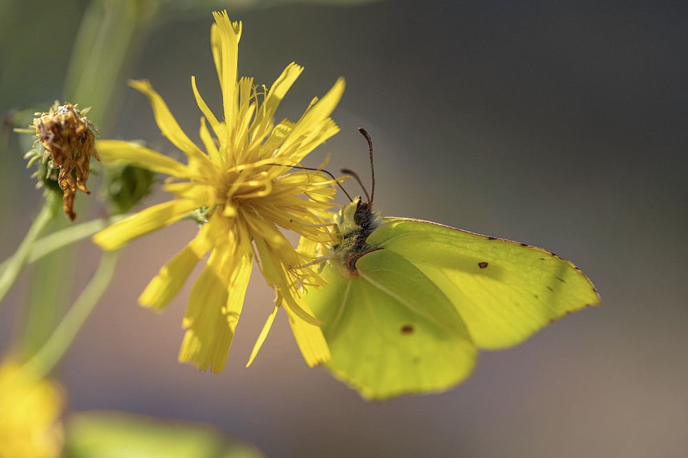 Photograph by Олег Борисович