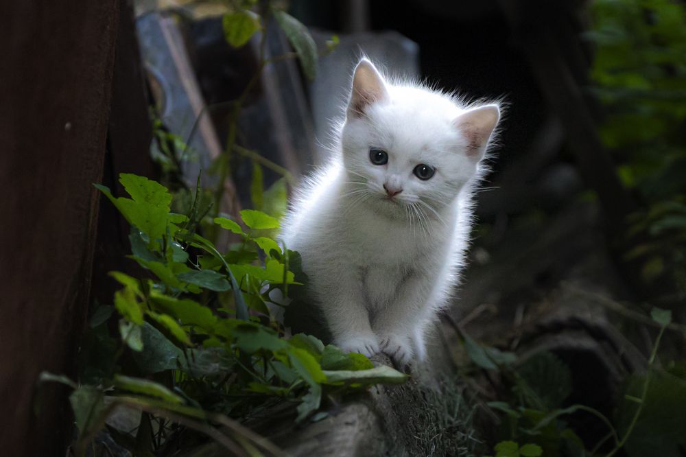 Photograph by Юлия Козельских