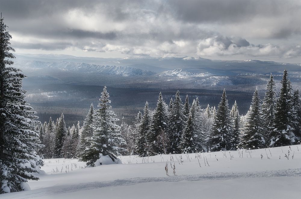 Photograph by Илья Толстоноженко