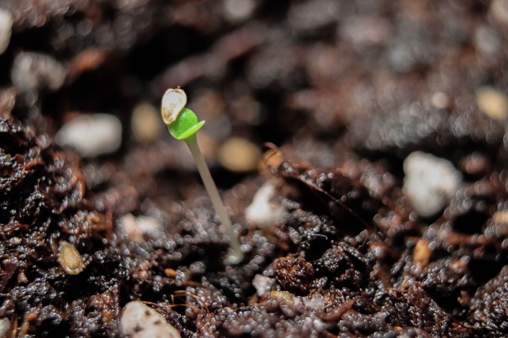 Photograph by Ekaterina Chernyshova