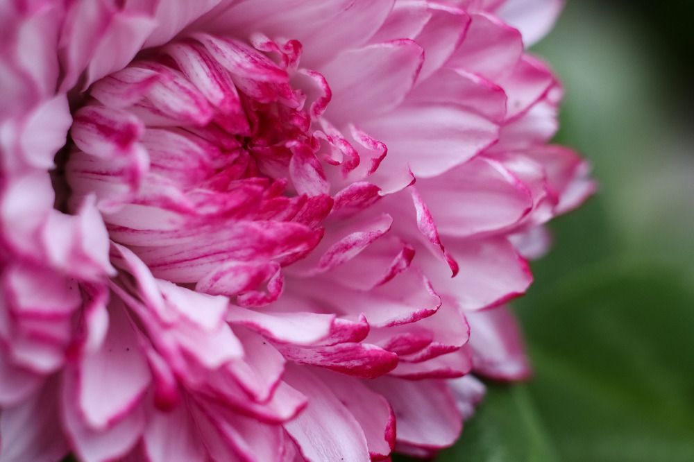 Photograph by Ekaterina Chernyshova