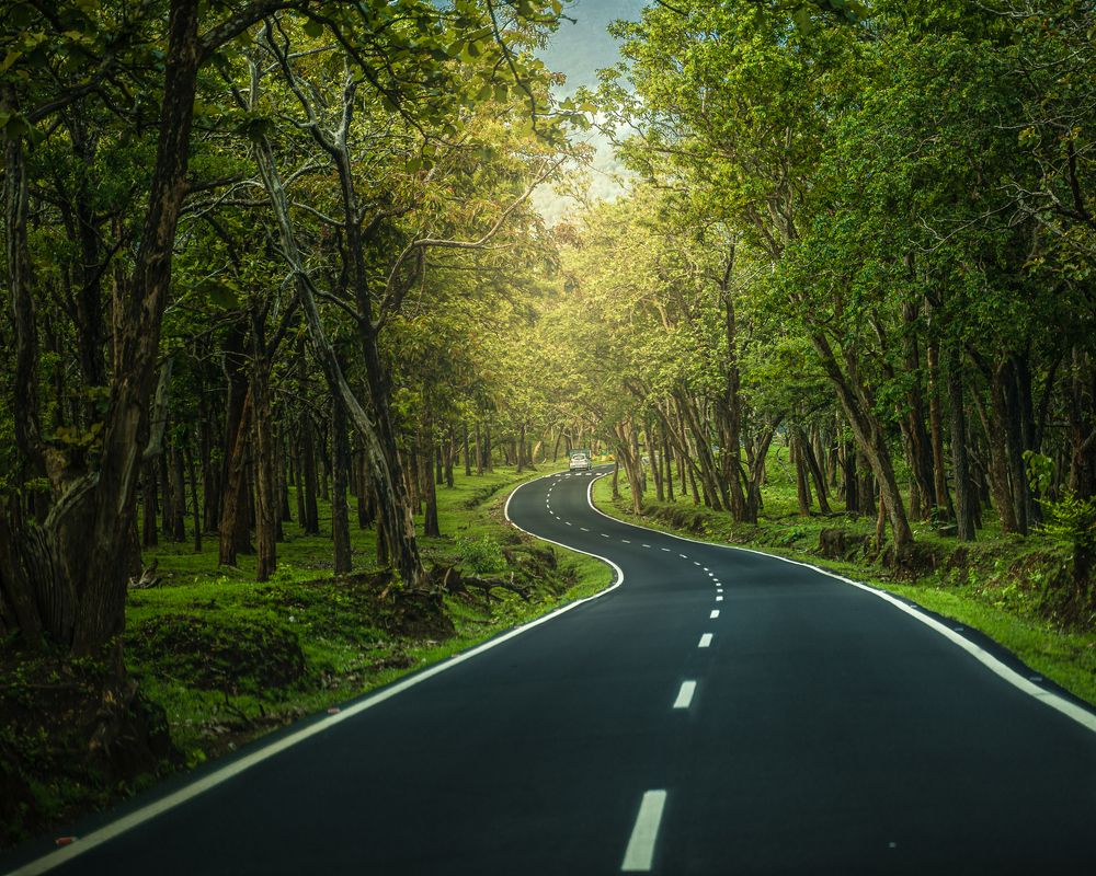 Photograph by Kundan Baruah