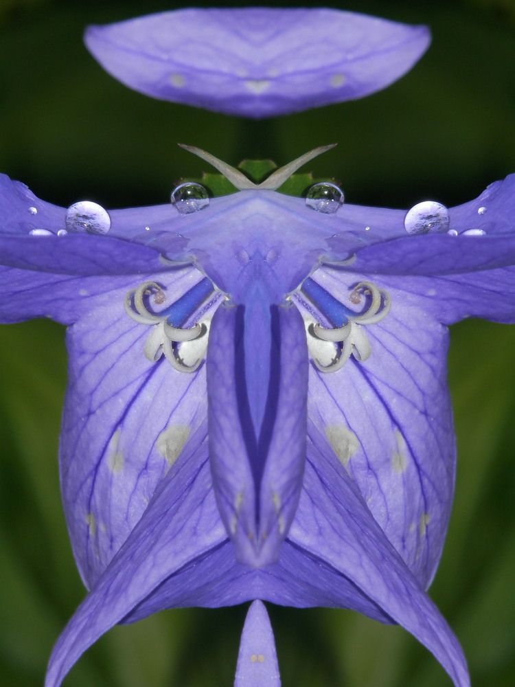 Photograph by Георгий Салюков