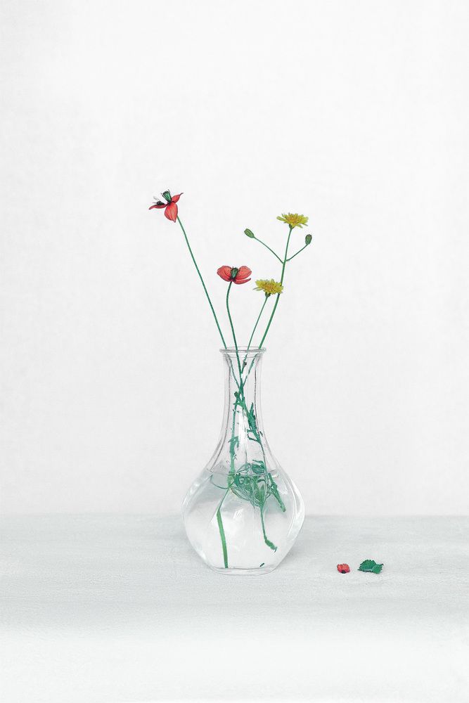 Photograph by Наталия Шляпина