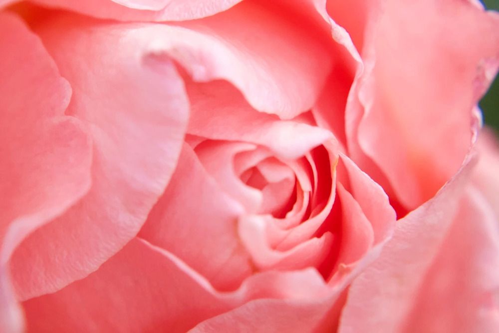 Photograph by Наталья Шаклеина