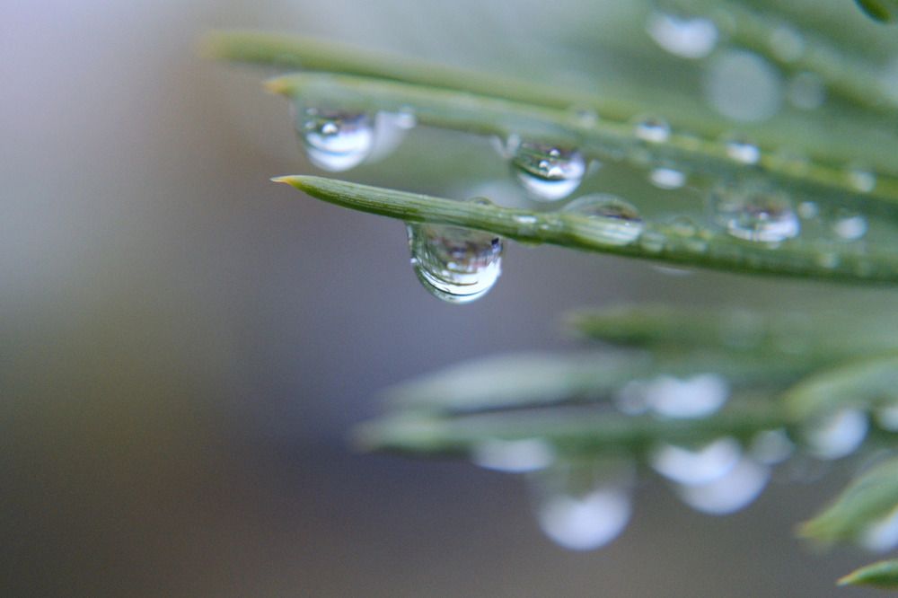 Photograph by Наталья Шаклеина