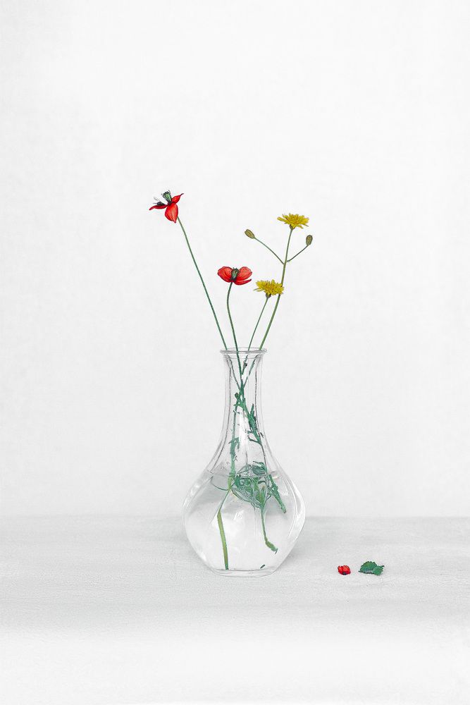 Photograph by Наталия Шляпина