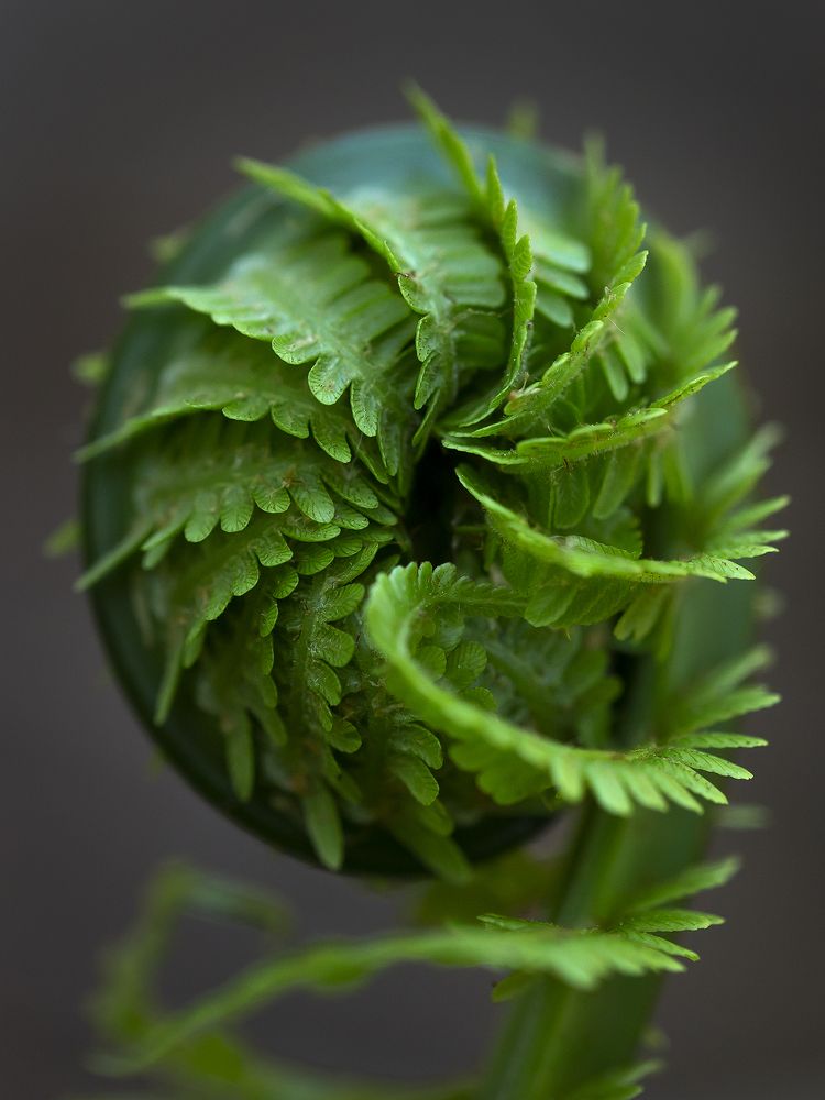 Photograph by Олег Тетерин