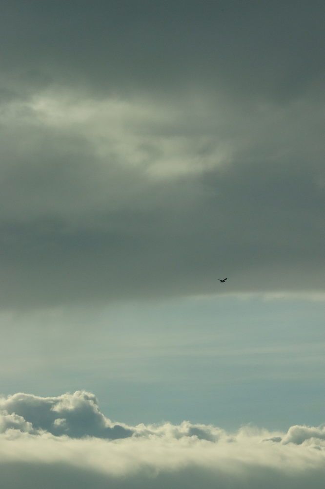 Photograph by Rishikesh Budhbhatti