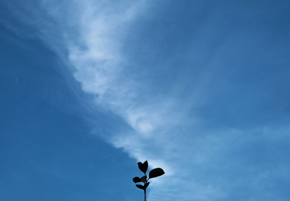 Фотография автора Javid Hashimov